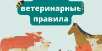 Россельхознадзор информирует о требованиях ветеринарного законодательства Российской Федерации, направленных на предотвращение возникновения и распространения заразных, в том числе особо опасных болезней животных - Администрация Лиманского района