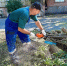 Новочеркасск присоединился к общеобластному субботнику: город ликвидирует последствия шторма - Газета Новочеркасские ведомости