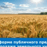 Продажа земельного участка для сельскохозяйственной деятельности  в Талицком муниципальном округе - Министерство по управлению госимуществом