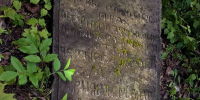В Ельце на забытом кладбище нашли надгробие мужчины, прожившего 110 лет - МОЁ! Липецк