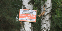 Власти Воронежской области вводят запрет на въезд в леса - МОЁ! Online