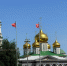 Президент России  отметил профессиональные достижения туляков - ИА Тульские новости