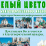 В Альметьевске пройдёт благотворительная акция «Белый цветок» - Альметьевская Епархия