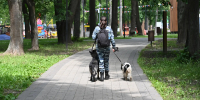 В парке им. Олега Степанова будет работать мобильный ветеринарный пункт - ОТВ-Серпухов
