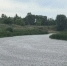 Девять жизней унесла вода с начала купального сезона в Белгородской области - Сетевое издание Валуйская Звезда