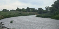 Девять жизней унесла вода с начала купального сезона в Белгородской области - Сетевое издание Валуйская Звезда
