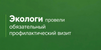 Экологи выявили нарушения на Актанышском хлебокомбинате - Министерство экологии