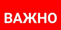 Правила поведения в лесу. Правила сбора грибов. - Сокольский муниципальный округ