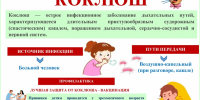 ЭНЦИКЛОПЕДИЯ ЗДОРОВЬЯ: Профилактика коклюша - Администрация города Свердловска и Свердловского района