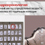 Алфавит историко-культурного наследия: дендрохронология - Агентство по государственной охране объектов культурного наследия
