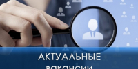 Актуальные вакансии. - Город Ровеньки