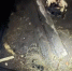 Фото: областной Следком - News29.Ru