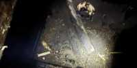 Фото: областной Следком - News29.Ru