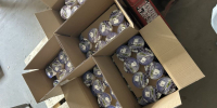 Липецкий производитель молока «омолаживал» продукцию для детсадов и школ - МОЁ! Липецк
