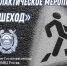 В Ракитянском округе пройдут мероприятия, направленные на профилактику ДТП с участием пешеходов. - Ракитянский район