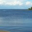 Врач назвал признаки опасных водоемов для купания - ГАZЕТА.СПб