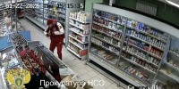 Новосибирец с фальшивым носом получил полтора года за серию краж - Gorsite.Ru