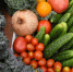Куряне тратят на продукты 39,3% семейного бюджета - РИА Курск