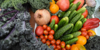 Куряне тратят на продукты 39,3% семейного бюджета - РИА Курск