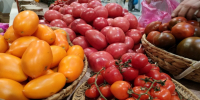 Фото: НИА-Кубань - НИА-Кубань