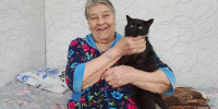 Кототерапия для пожилых людей - Министерство труда и соцзащиты