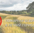 Пожарная безопасность в летний период - Городской округ Воротынский