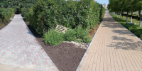Дорожки.jpg - Oskol.City