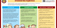 Профилактика педикулеза - Роспотребнадзор Чувашии