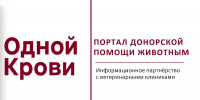 Иногда одна найденная пара «донор-реципиент» – это спасенная жизнь - Главное управление ветеринарии