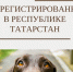 Более 70 тысяч собак получили официальный статус! - Главное управление ветеринарии