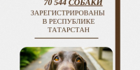 Более 70 тысяч собак получили официальный статус! - Главное управление ветеринарии