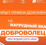 На Кубани стартовал приём заявок на звание «Почётный доброволец (волонтёр) Краснодарского края» - Министерство физической культуры и спорта