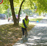 Областной центр начинает масштабную реформу городского хозяйства (ФОТО) - Ivanovocat.Ru