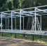 Лыжероллерная трасса победила - Газета Обнинский Вестник