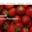 Что представят оренбургские предприятия на гастрофестивале «Вкусы России» - Ria56.Ru