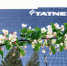 «Татнефть» зарегистрировала новые климатические проекты - TatCenter.ru