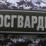 Росгвардейцы задержали двух мужчин, которые разгромили ресторан на Ленинском проспекте - Spbdnevnik.ru
