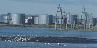 Казахстан перенаправит нефтяной экспорт в обход терминала КТК в Новороссийске - Комсомольская Правда
