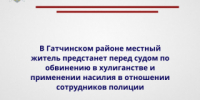 В Гатчинском районе местный житель предстанет перед судом по обвинению в хулиганстве и применении насилия в отношении сотрудников полиции - Следственный комитет