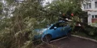 В Уфе во время урагана дерево упало на иномарку - Башинформ
