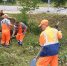 В Сыктывкаре за выходные привели в порядок парки, площади и памятники - Pg11.Ru