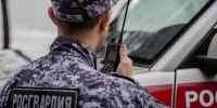 В Мурманске росгвардейцы задержали мужчину, выломавшего входные двери в ресторане на улице Ленина - Murman.Ru