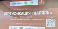 «Лунные» отели — в Москве прошёл туристический семинар от МЦСиС «Халяль» и Chefs Team Russia - Совет муфтиев России