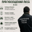 Следственное управление СК России по Сахалинской области предупреждает о необходимости соблюдения требований безопасности при посещении леса - Следственный комитет