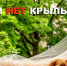 У детей нет крыльев. Открытое окно — опасность для ребенка! - Управление по делам ГОЧС