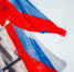 Посольство РФ: Немцы хотят переехать в Россию из-за пропаганды - ИА Общественная служба новостей