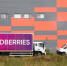 Wildberries провела эвакуацию на логистических объектах в Воронежской области - M24.Ru