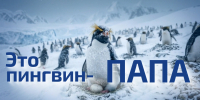 А какой папа - ты? - УФССП