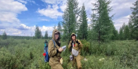 Ученые СВФУ исследуют образцы растительности, почвы и воды на месторождениях золота и урана в Алданском районе - СВФУ им. М.К. Аммосова