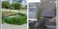 В Сквере семьи отремонтирована садовая арка - Администрация города